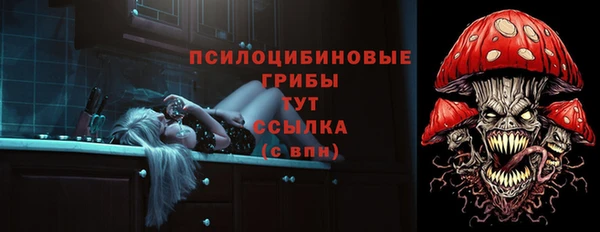 ПСИЛОЦИБИНОВЫЕ ГРИБЫ Белоозёрский