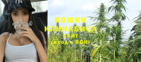 ПСИЛОЦИБИНОВЫЕ ГРИБЫ Белоозёрский